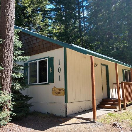 Hall Creek Cabin Packwood Exteriér fotografie